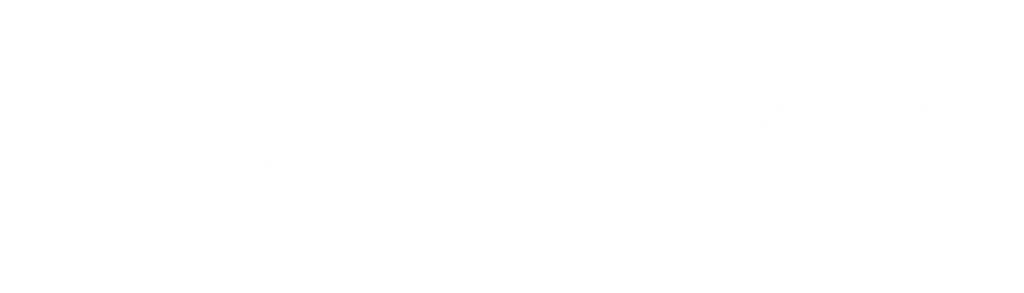 NASHIBOO Logo